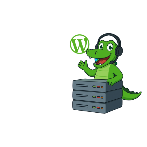 Illustration of fast WordPress hosting on Hostalig servers