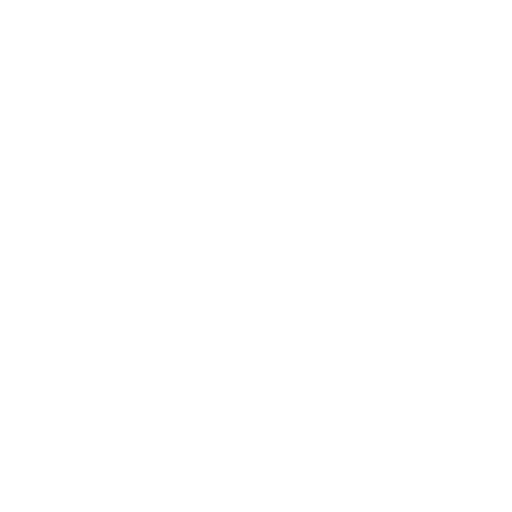 Fast load time icon